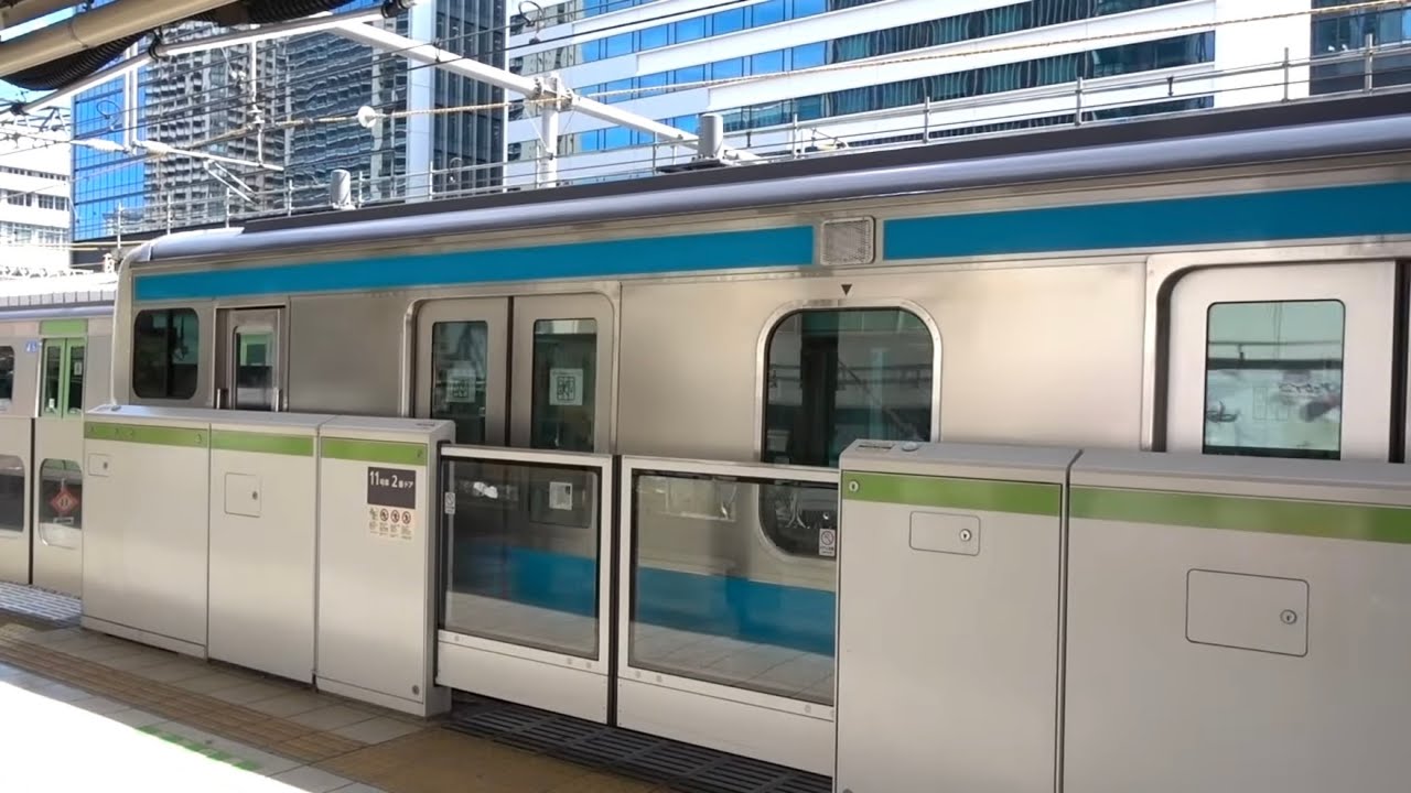 【田町】山手線E235系 京浜東北線E233系 同時入線 東海道線E233,E231系 常磐線 上野東京ライン 東海道新幹線N700A 子どもの好きな電車 通過 車窓 並走 すれ違い 回送