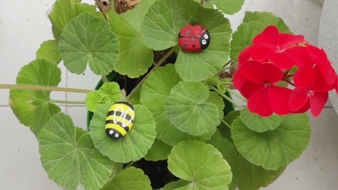 PINTAR PIEDRAS PLANAS