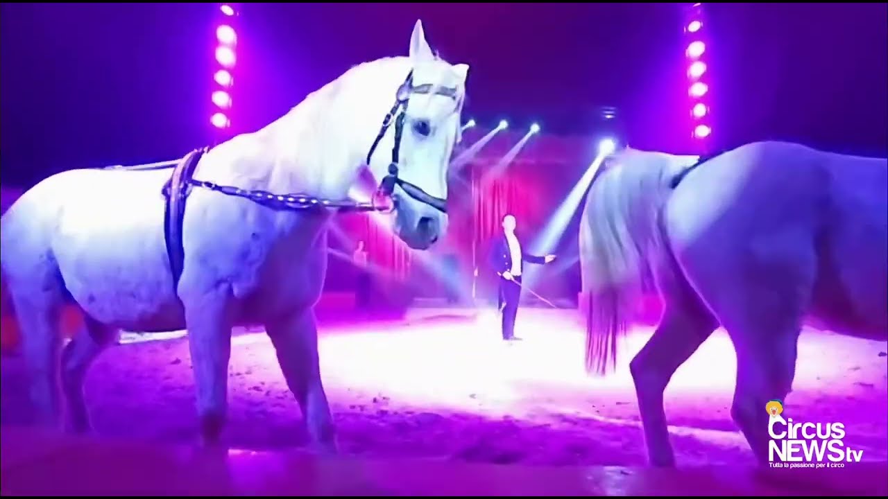I Cavalli in libertà presentati da Stefano Orfei al Circo Rony Roller (Tivoli  febbraio 2025)