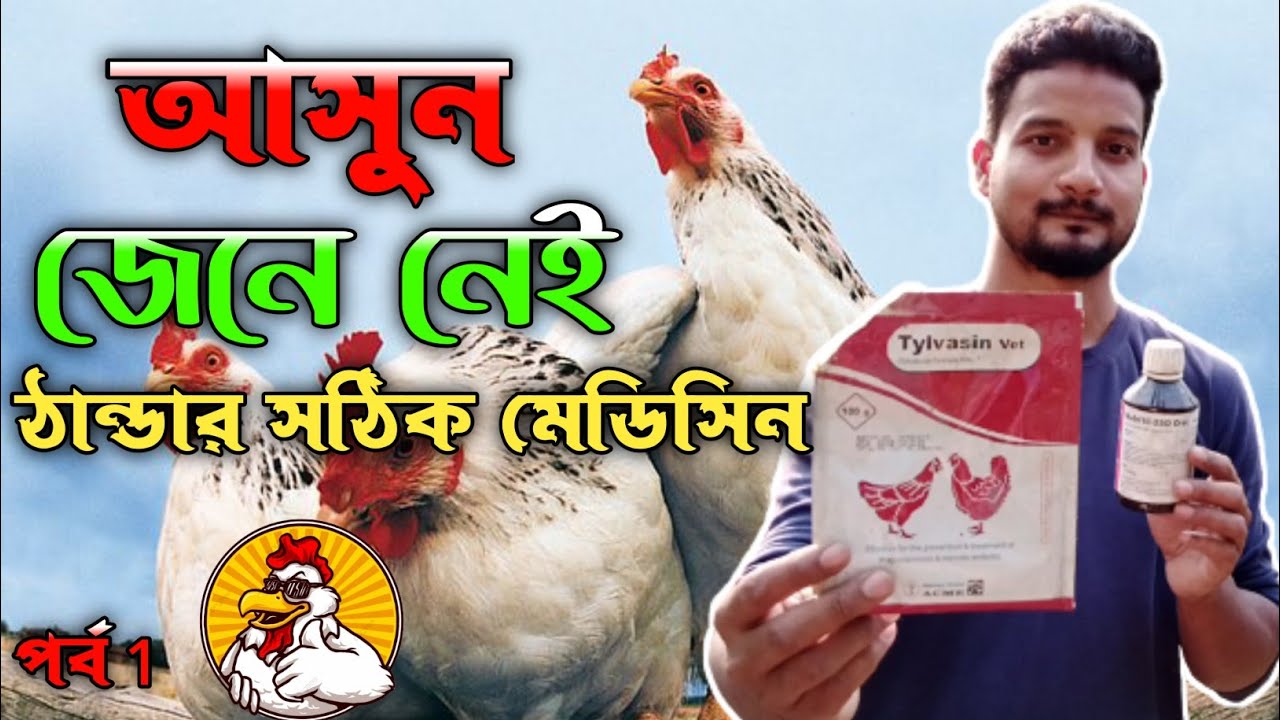 দেশি মুরগির ঠান্ডার সঠিক মেডিসিন  (পর্ব -১) #shakilfarming #murgipalon #desimurgikhamar