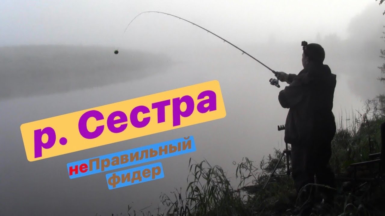 Рыбалка на реке Сестра. Фидер. Красивая река. 