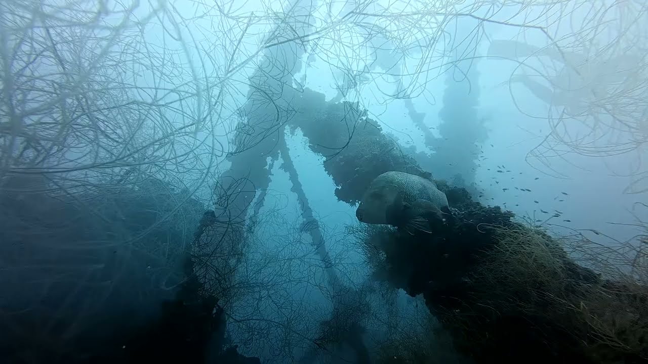 2025 帛琉 沉船 (感謝stonetreemountain提供影片)