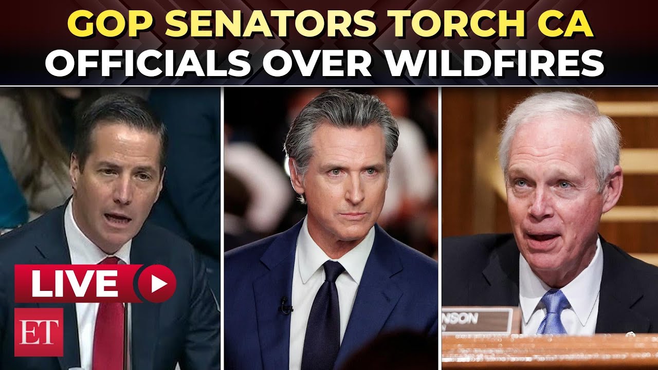 'You need to know your job first': Fiery clash at Senate hearing over California wildfires