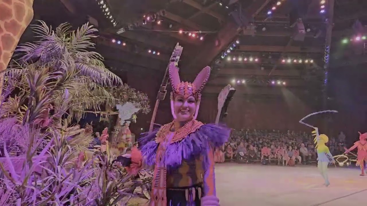 Festival of The Lion King at Animal Kingdom