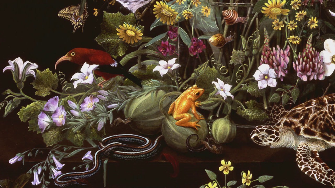 Painting the Endangered World | Isabella Kirkland