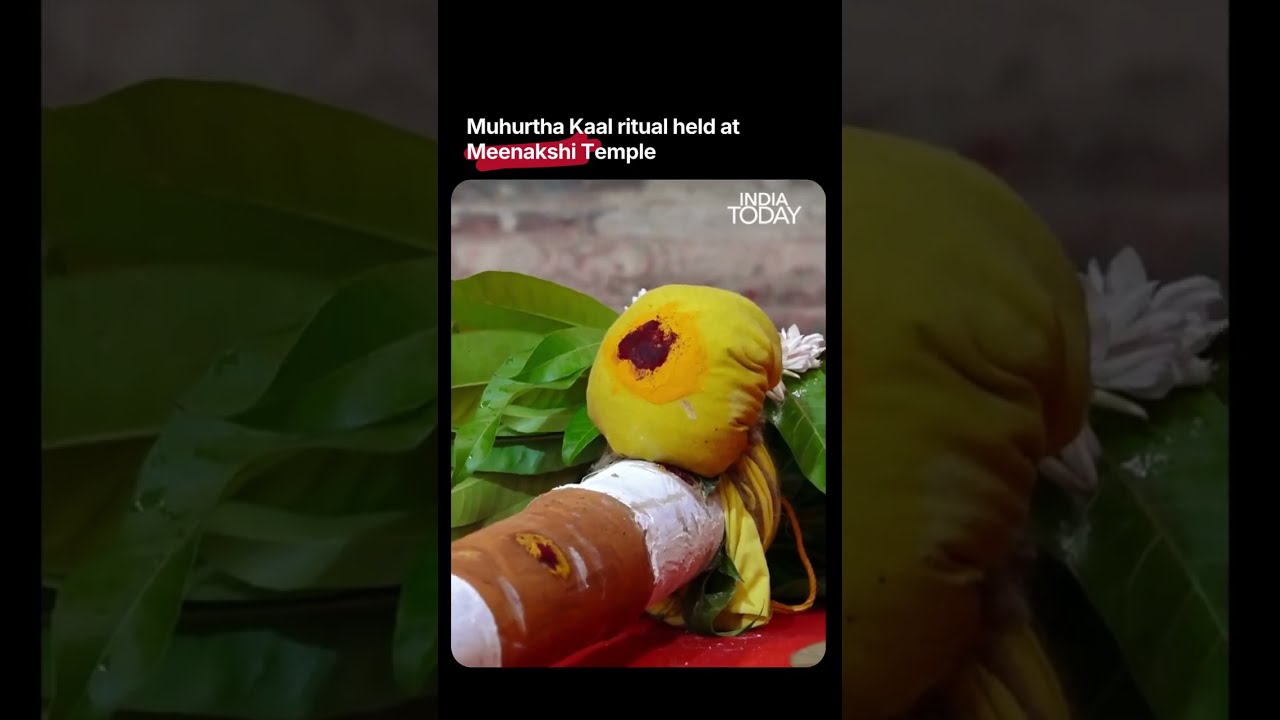 Tamil Nadu's Meenakshi Temple Celebrates Muhurta Kaala Nattu Vizha Before Maha Kumbhabhishekam