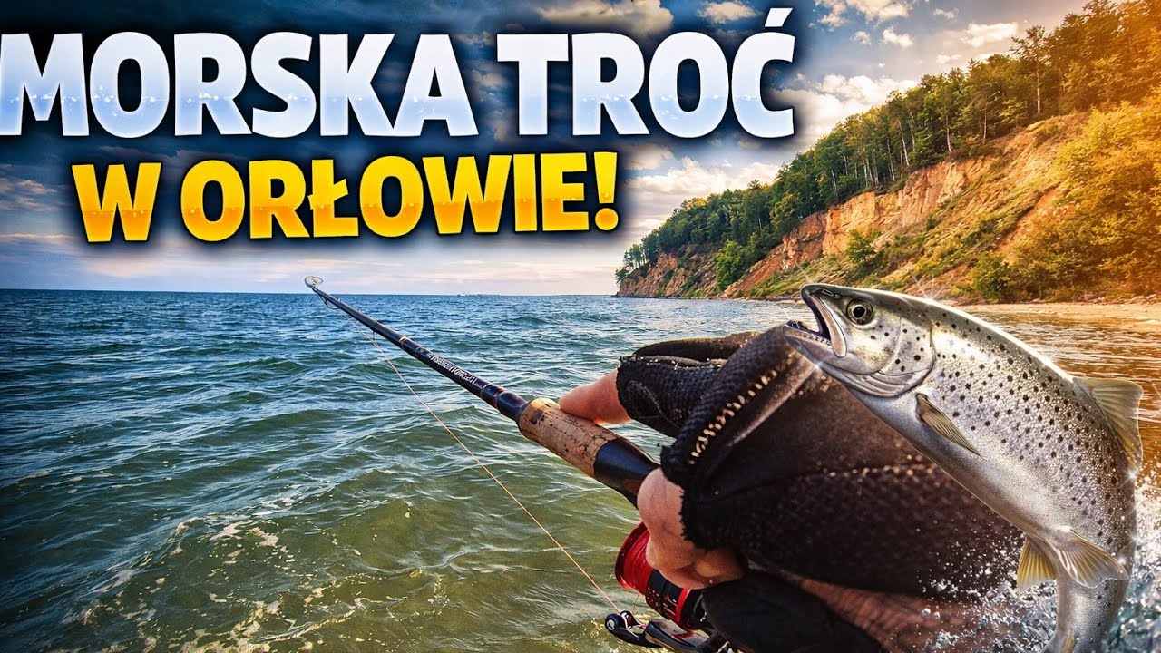 Morska Troć | ORŁOWO | W końcu oddało