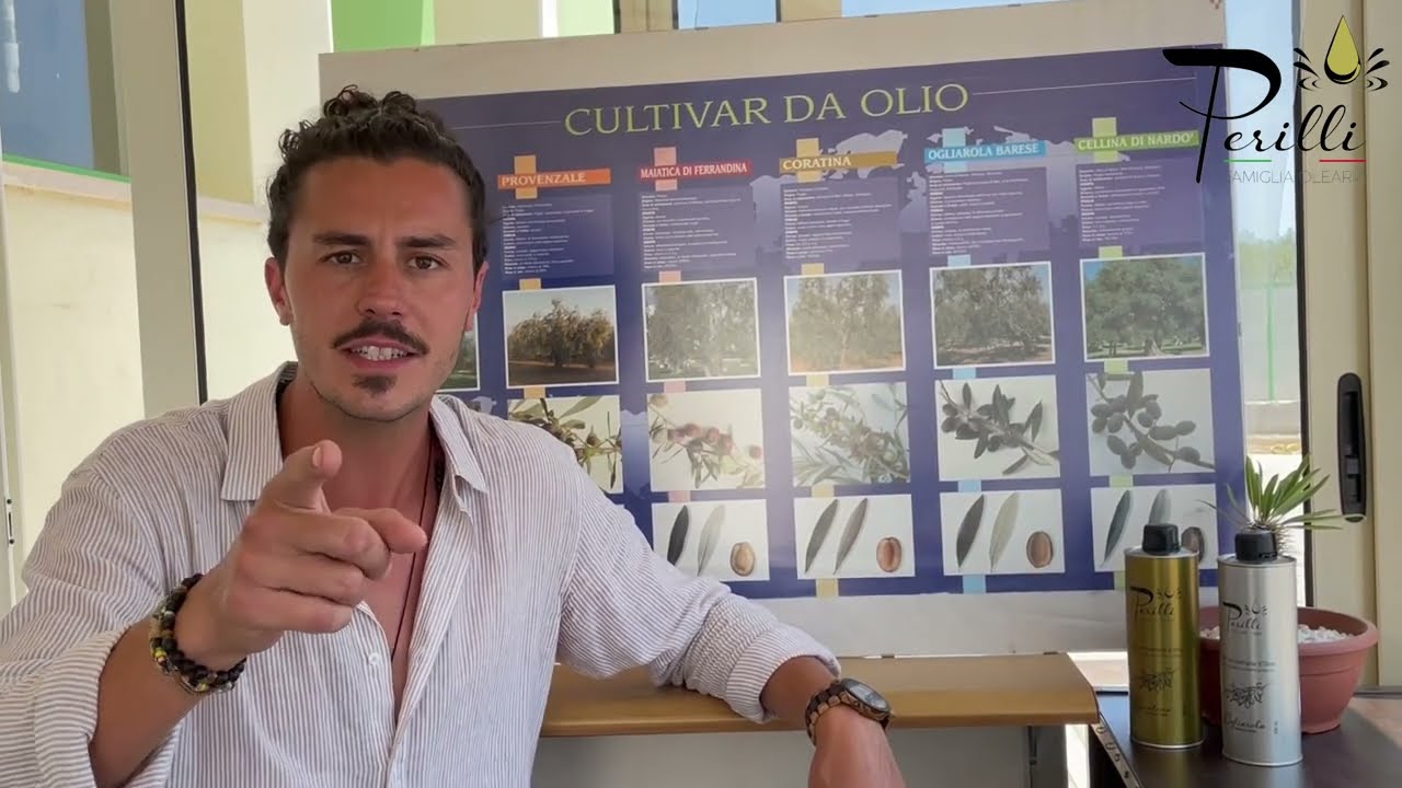 Ogliarola e coratina: la differenza tra le nostre cultivar
