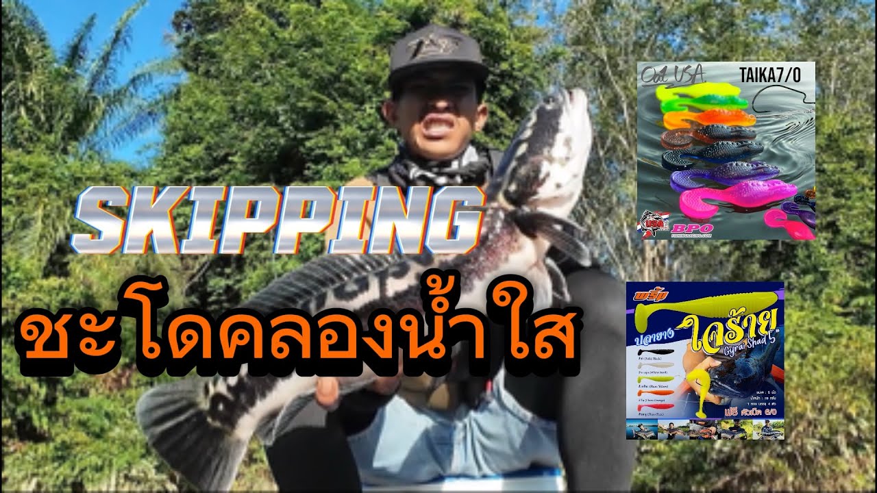 ปลดล็อค ชะโดตัวแรกบนเรือคายัค โครตยาก