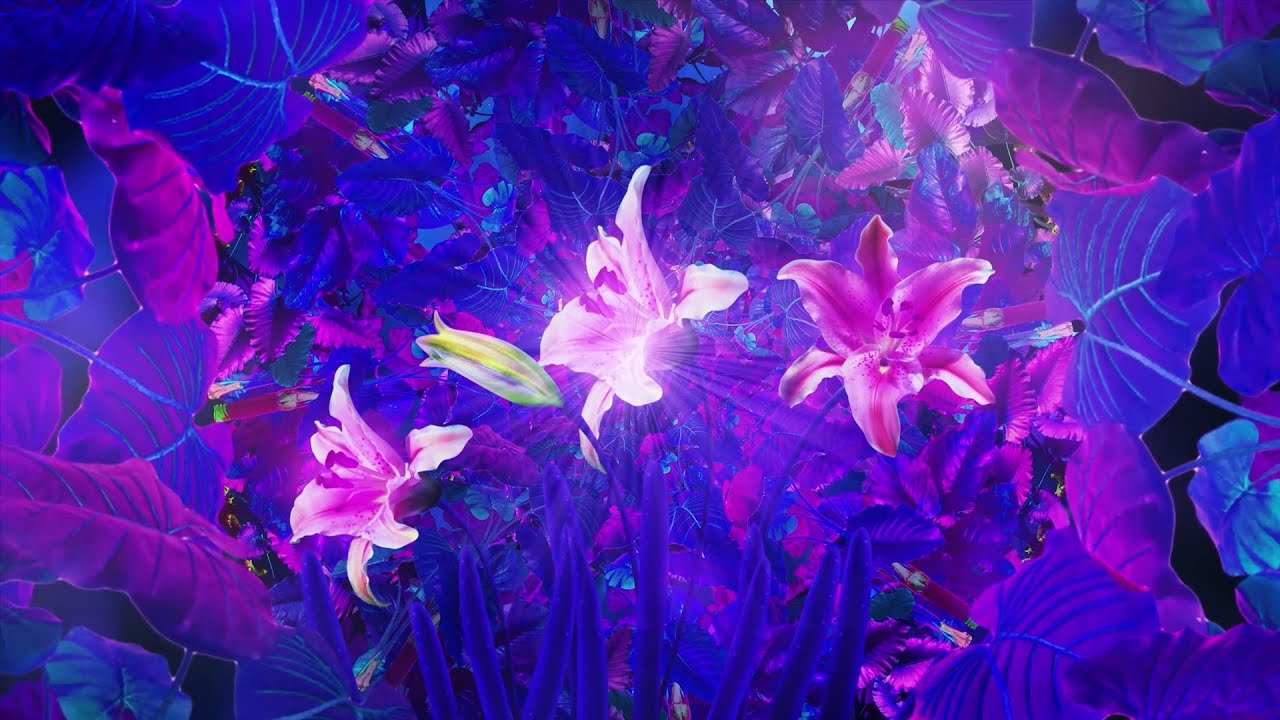 Kaleidoscope Purple Flower Tunnel Vj Loop Video | 4K Video | No Copyright Motion Background Video