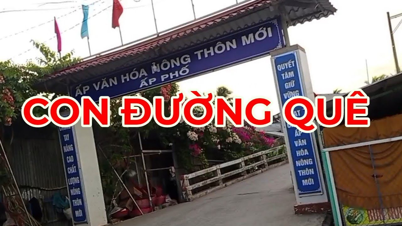 Con Đường Quê Ấp Phố/ Xã Hậu Thạnh/Sóc Trăng 