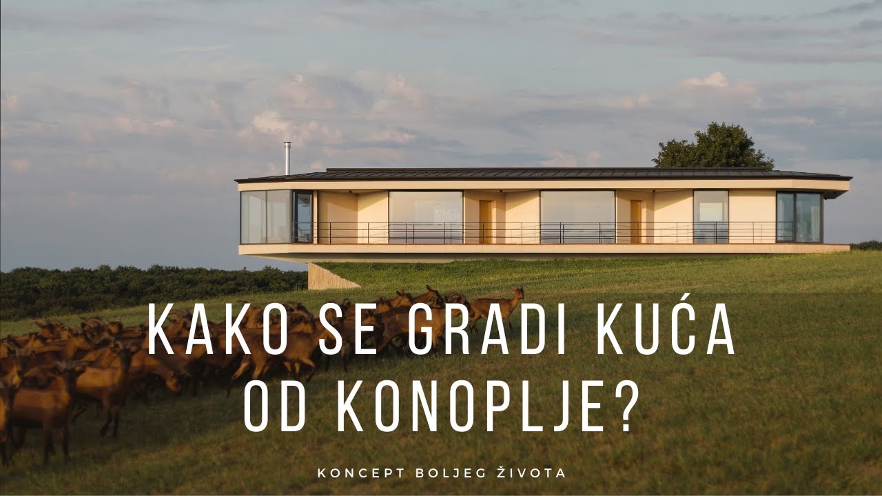 Da li ste znali kako se gradi kuća od konoplje i kako izgledaju zidovi??