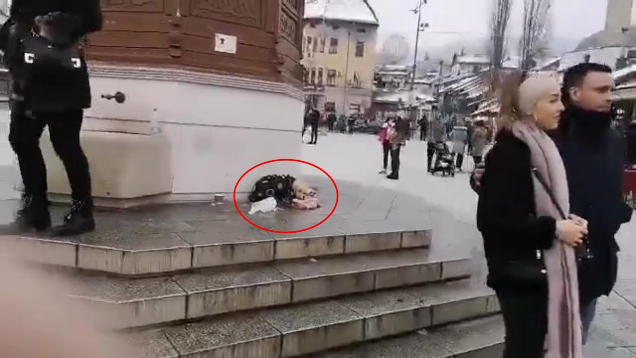 Мокрые, замерзшие, постоянно дрожащие в новогоднюю ночь — прошли сотни людей, но никого это