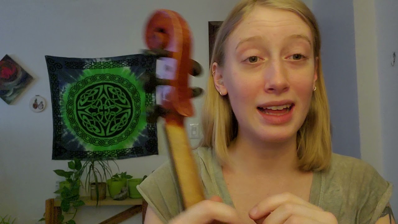 My Dahlia 5 ~ vlog about getting my fiddle ~ what to do/not do when buying a violin/viola