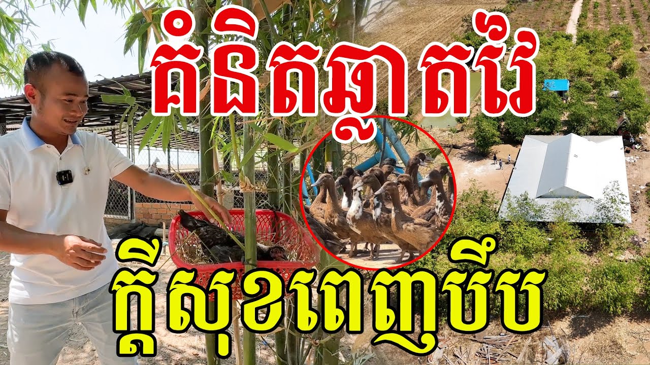 គំនិតឆ្លាតវៃ ក្ដីសុខពេញបឹប ស្រស់ស្រាយគួរជាទីរស់នៅ