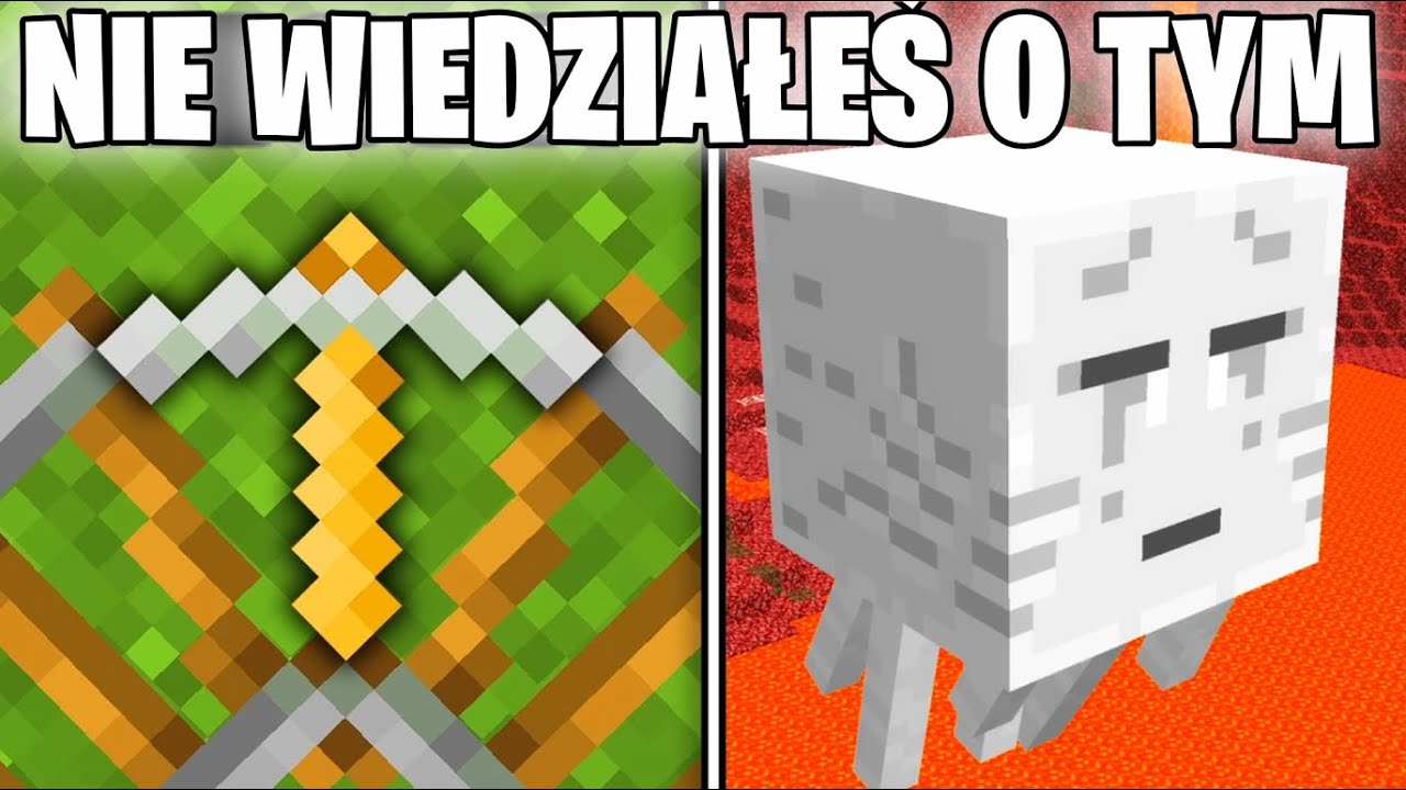 10 RZECZY O KTÓRYCH NIE WIEDZIAŁEŚ w Minecraft