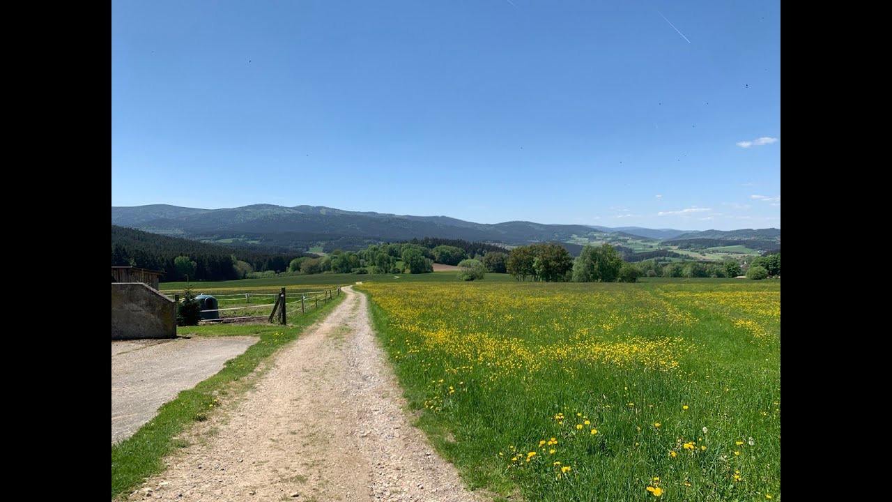 Böhmweg - von Bayerisch Eisenstein nach Deggendorf mit dem Mountainbike