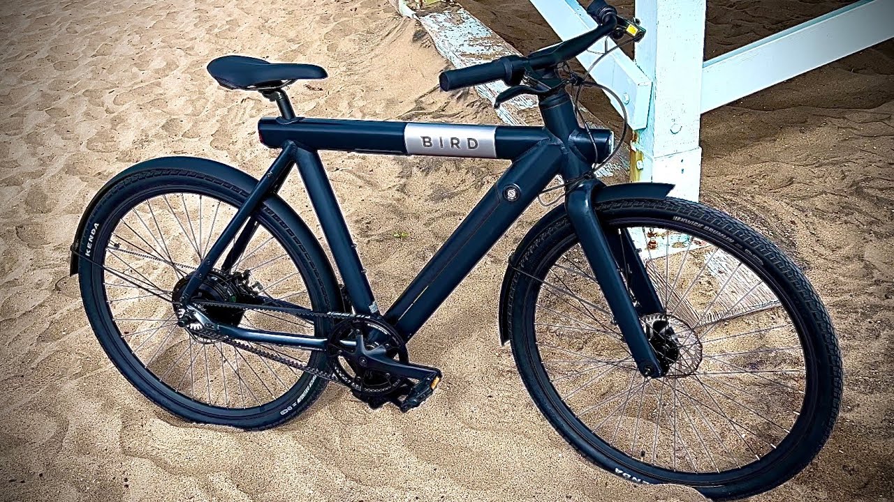 $699 500 Watt Bird Bike E-bike Review