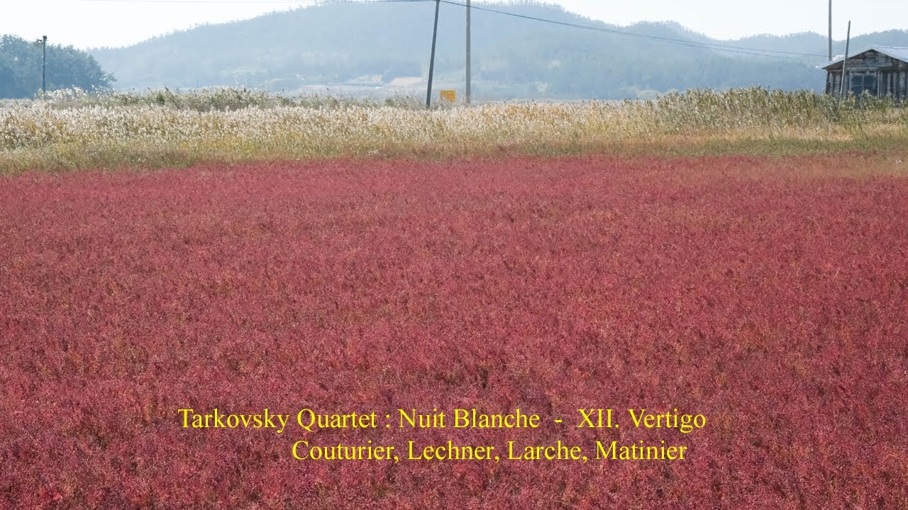 Tarkovsky Quartet : Nuit Blanche - XII. Vertigo