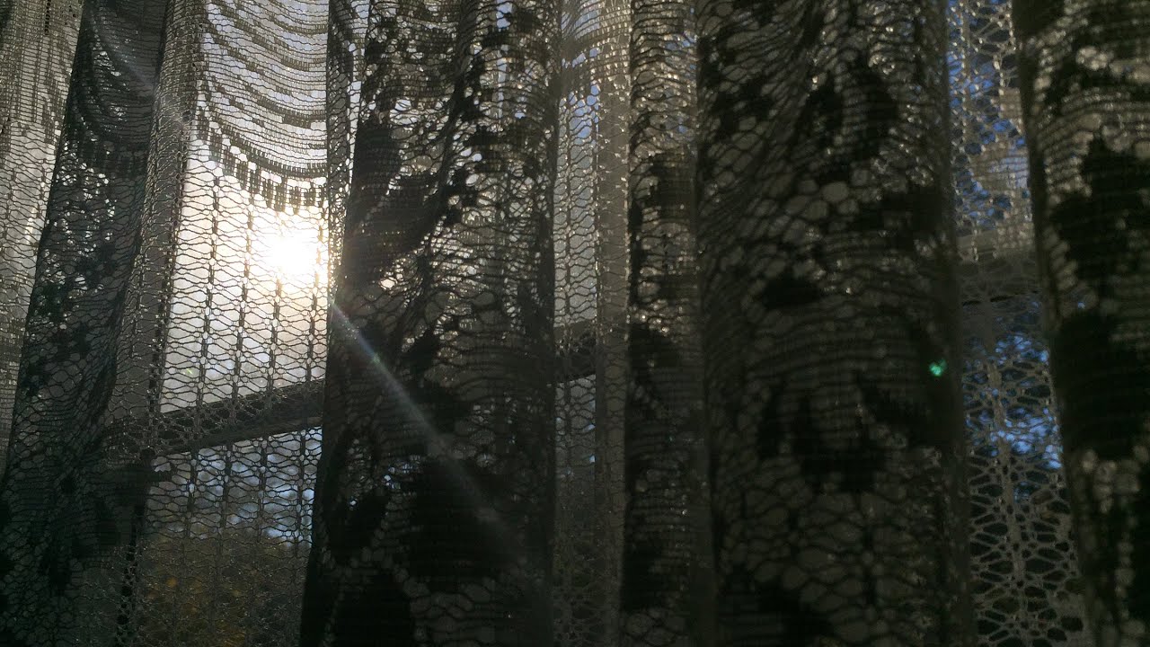 The Book and The Movie