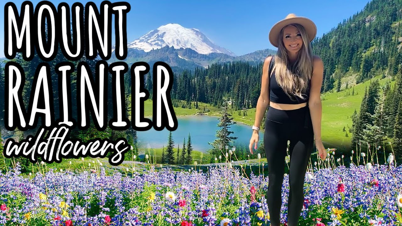 MOST BEAUTIFUL WILDFLOWER HIKE 🌷 Mount Rainier in Washington 🚐 Solo Female Travel EPISODE 80