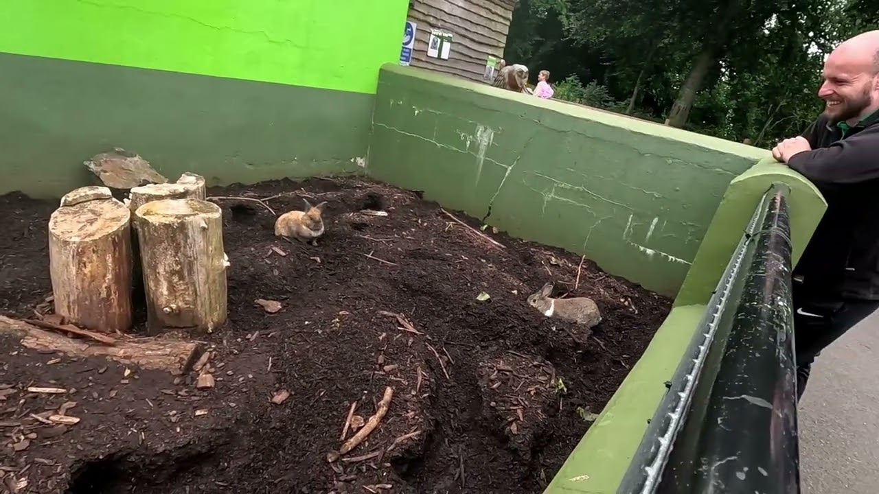 My Trip to Belfast Zoo 2023    Made with Clipchamp