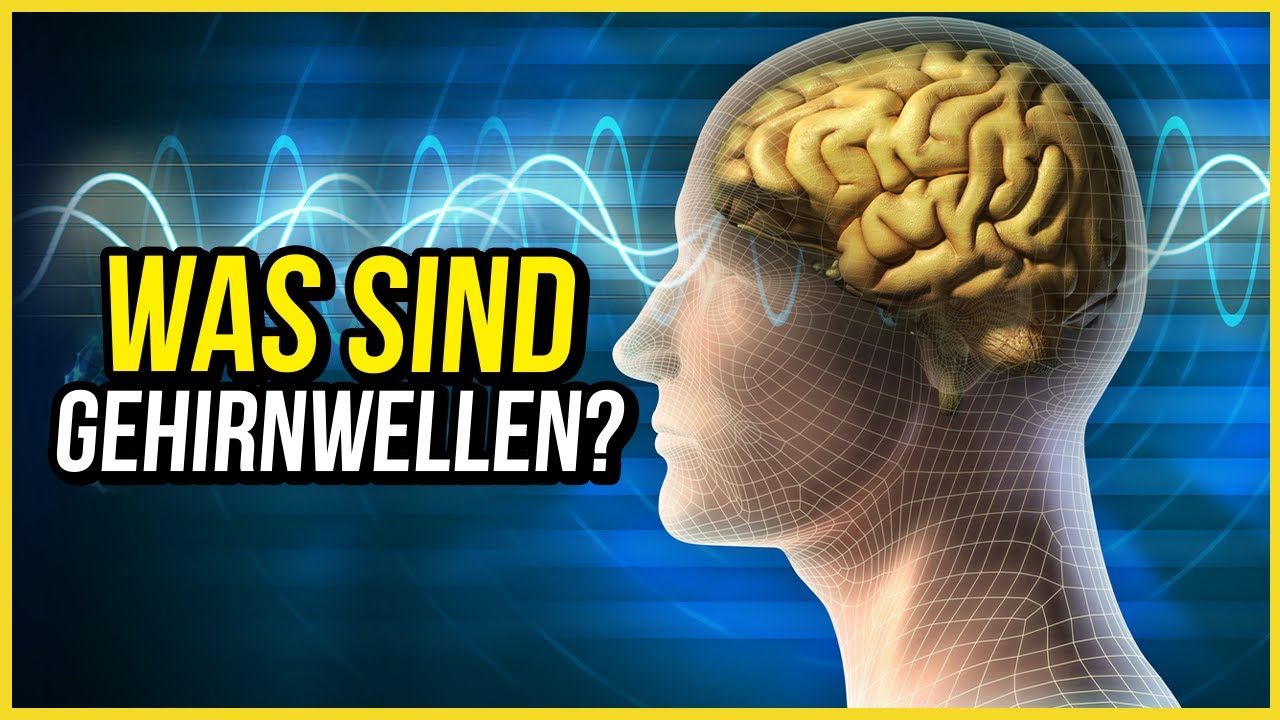 Alle Gehirnwellen erkl&auml;rt (Gamma, Beta, Alpha, Delta, Theta)