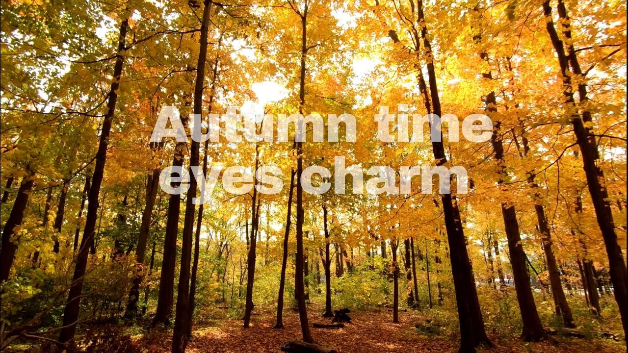 Autumn time, eyes charm