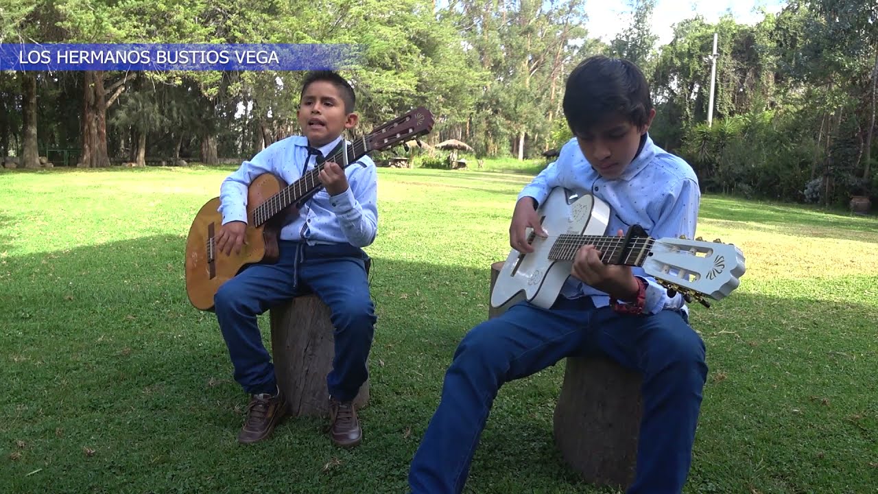 MUSICA AYACUCHANA - CHIWILLITO NEGRO - LOS HERMANOS BUSTIOS VEGA