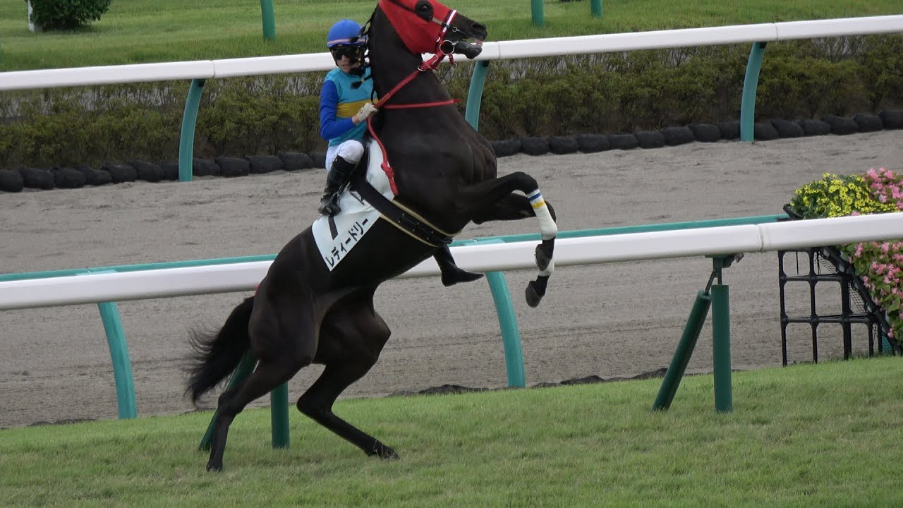 【４Ｋ現地撮影】２０１９年９月２２日中山競馬７Ｒレディードリー＆藤田菜七子騎手７着