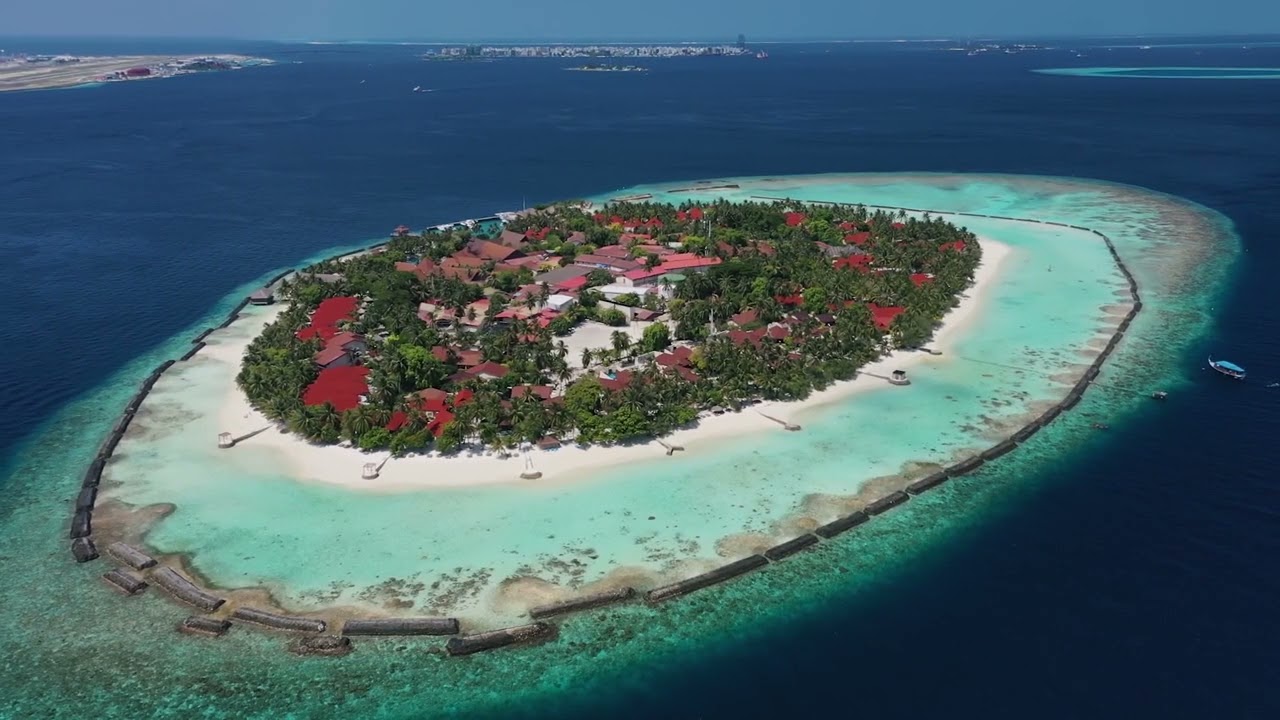 SONG 91  இயேசு மகா ராஜன் உன்னை இன்று அழைக்கிறார் /  YESU MAHAA RAJAN