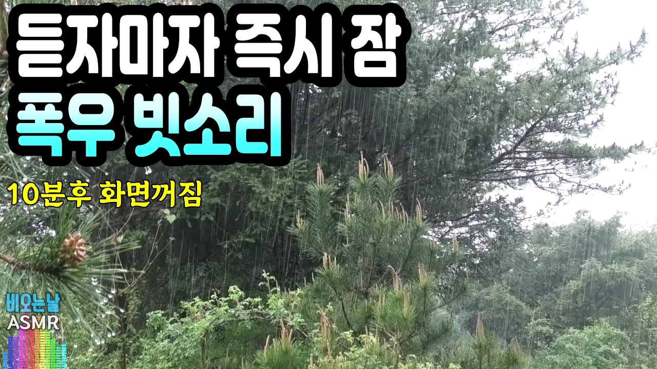 듣자마자 즉시 잠오는 폭우 빗소리/ 불면증 치유, 이명치료효과/ 아침까지 깨지 않는 숙면/ 깊은 숙면 유도 백색소음, ASMR [중간광고없음, 10분후 화면꺼짐]