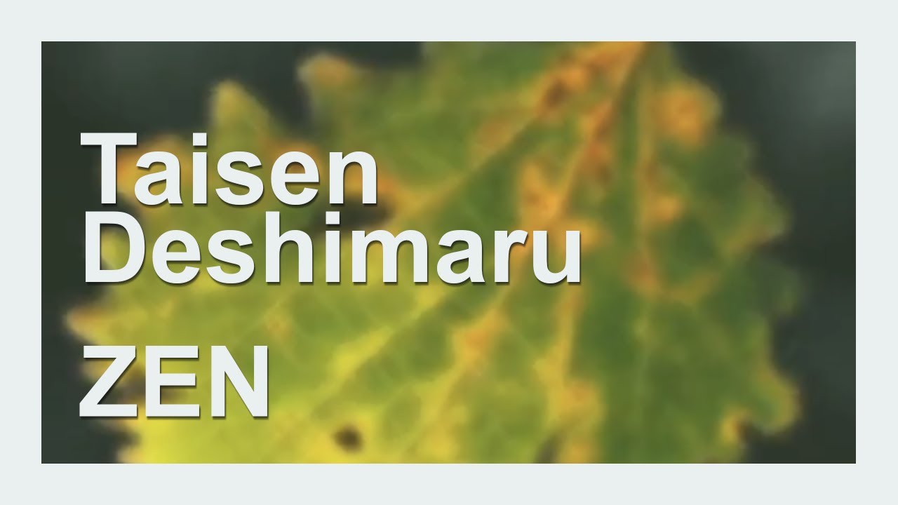 Taisen Deshimaru: O 