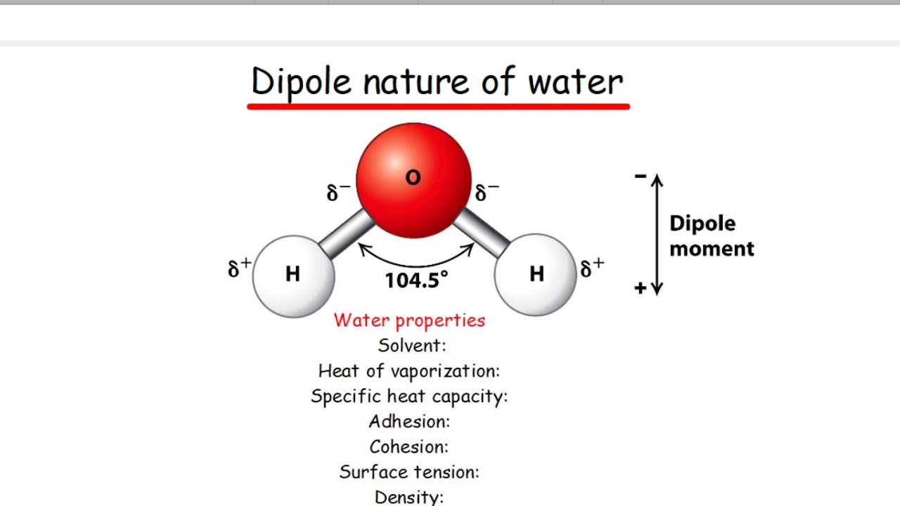 WATER AND ITS PROPERTIES