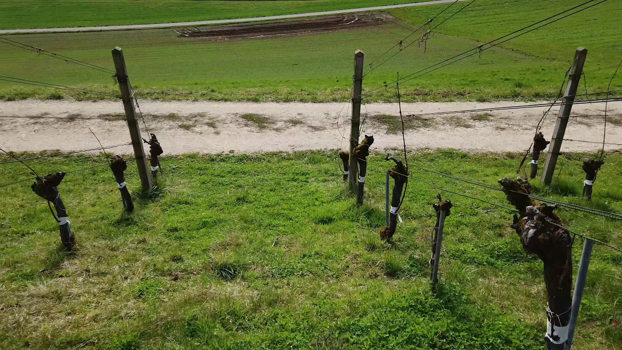 2 Täler Drony Tour Remigen Riniken Kraftwerk Vilnachern
