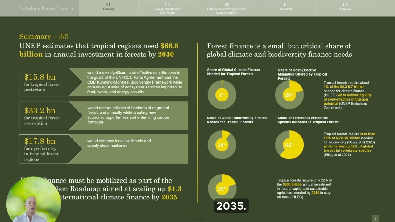 Forest Finance Roadmap launch