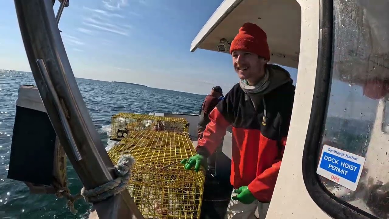 Hauling October Maine, 2025 19