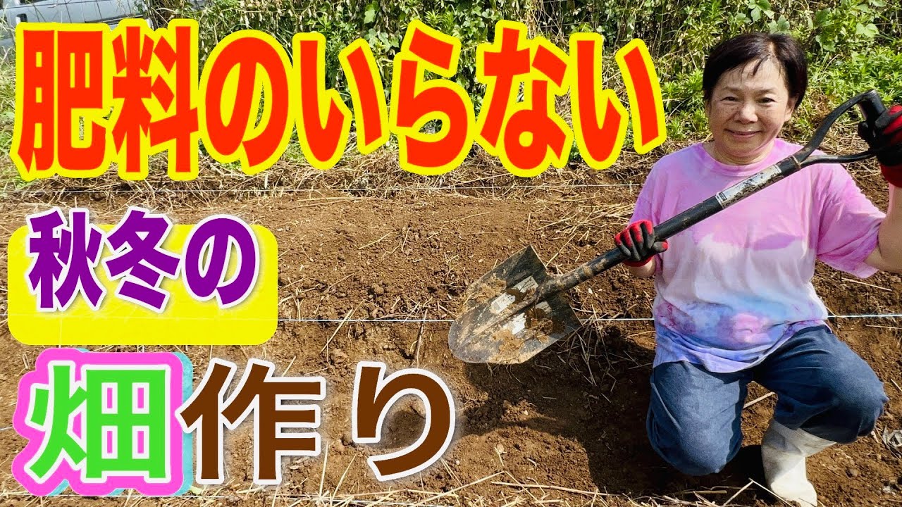 秋〜冬にむけて、肥料のいらない野菜を作っていきます。