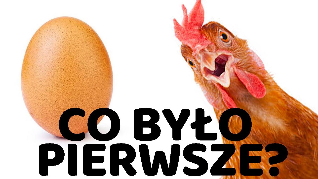 USTALMY TO RAZ NA ZAWSZE! - Let's settle this