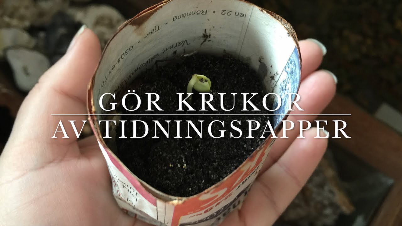 Gör dina egna krukor av tidningspapper
