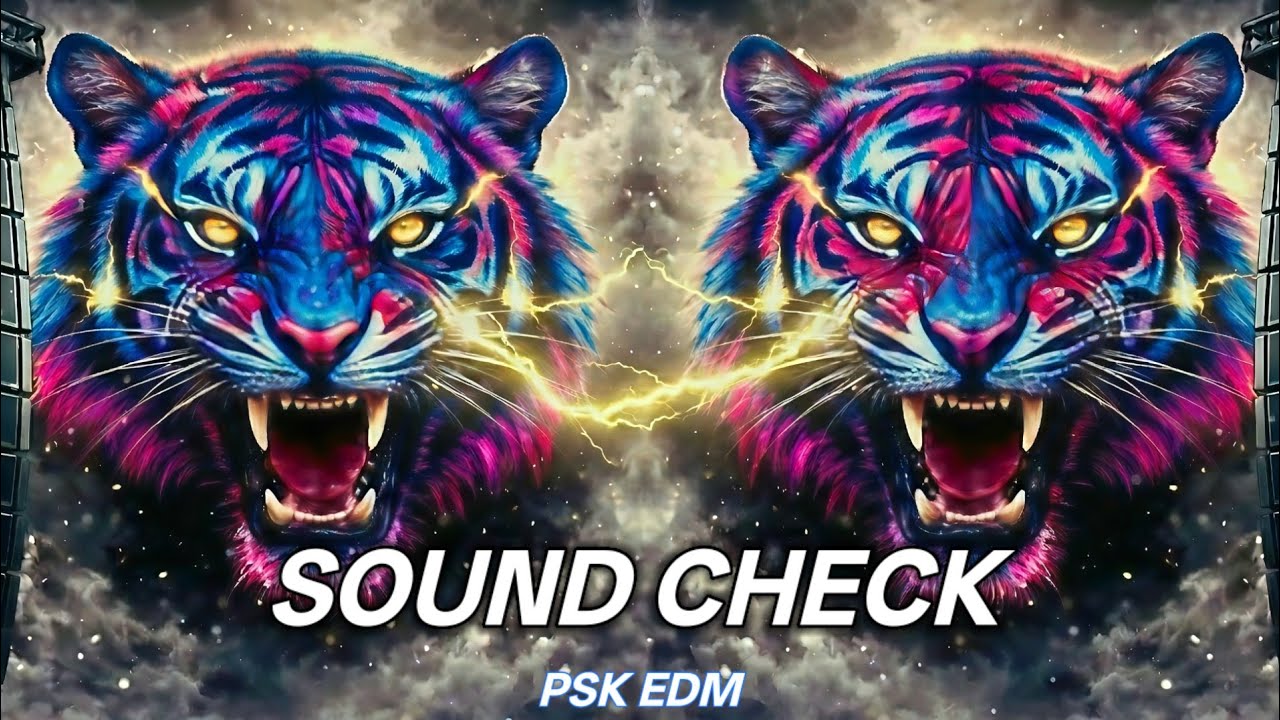​⚡ FEEL THE VIBRATION 🔊 | EXTREME POWERFUL DJ SOUNDCHECK 2026⚡ | SPEAKER SHAKING TEST | PSK EDM 🔥