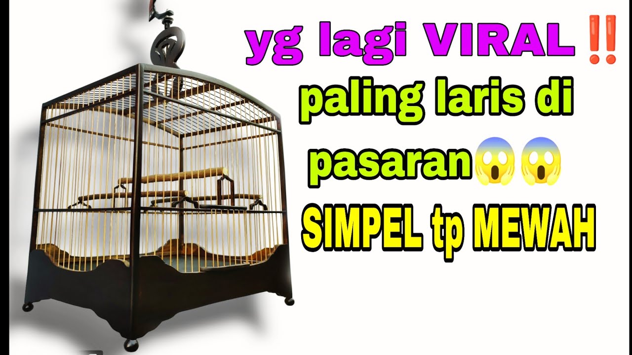Sangkar lagi naik daun‼️ Model yang paling laku keras di pasaran Tahun ini,