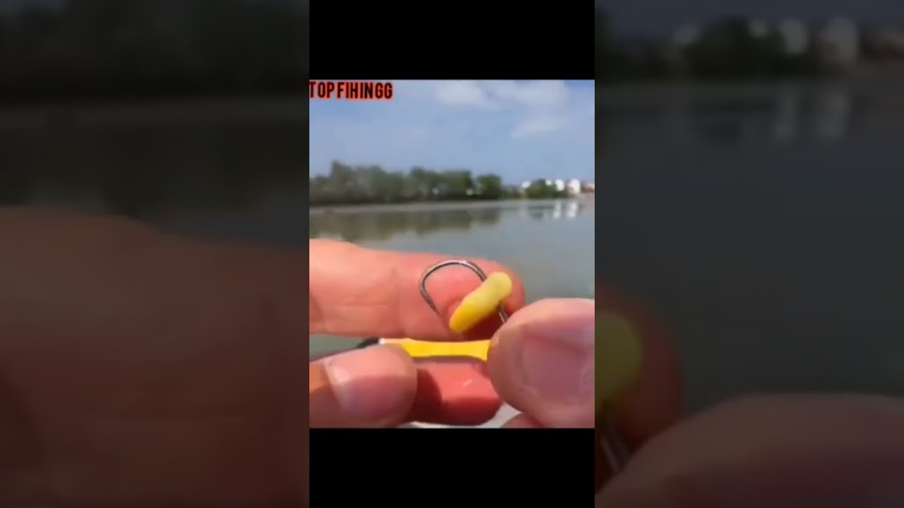 FORMA DE ISCAR MILHO NA PESCARIA #pesca #pescaria #petrolina #brasil #juazeiro #peixe #peixes #fish