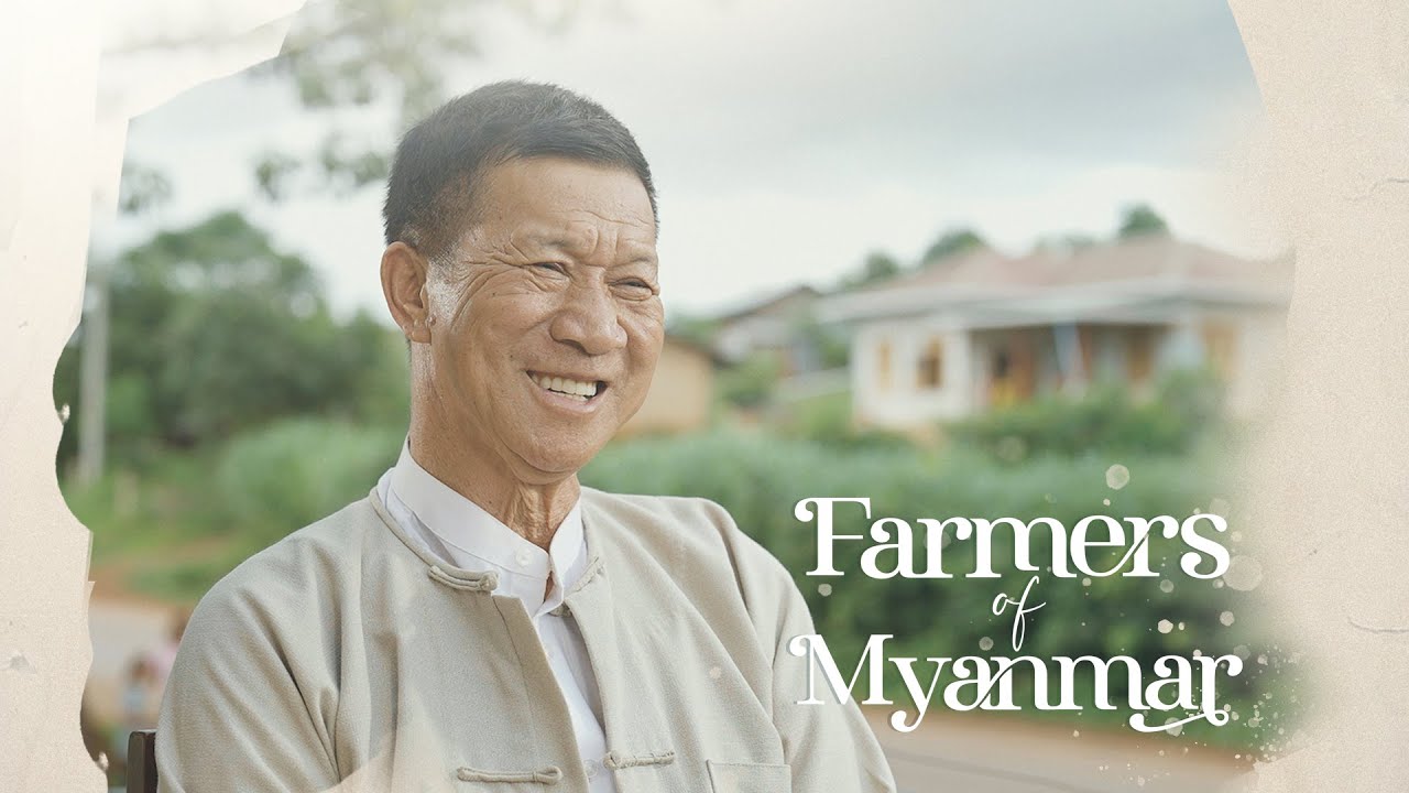 ကောမက်ဓာတ်မြေဩဇာ တောင်သူကြီးဦးထိန်လင်းရဲ့ တောင်သူ ဘဝ၊ မိသားစု #CometFertilizer #FarmersofMyanmar