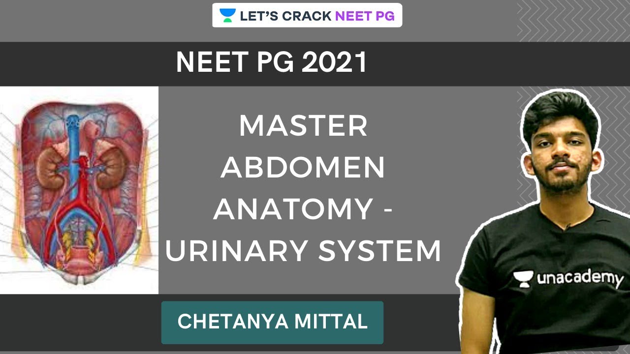 Master Abdomen Anatomy - Urinary System | Chetanya Mittal