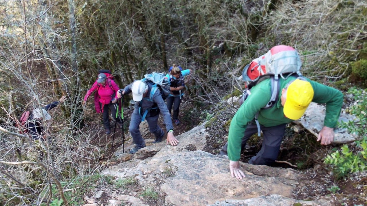 Concluses de Lussan