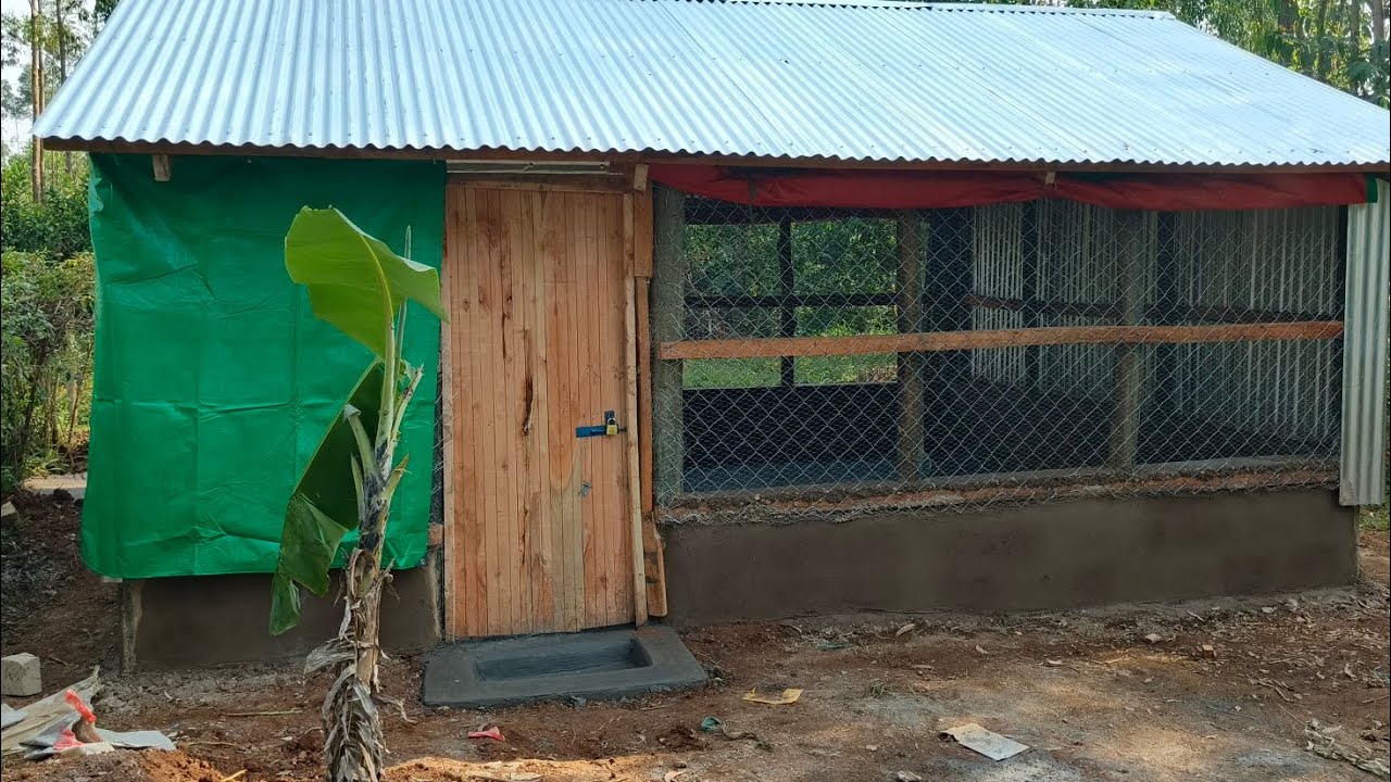We built a 300 chicken poultry house in just 5 days with only Ksh 200k.