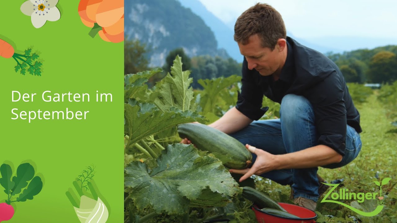 Der Garten im September: letzte Saaten, K&uuml;rbisse ernten, Gem&uuml;se einmachen