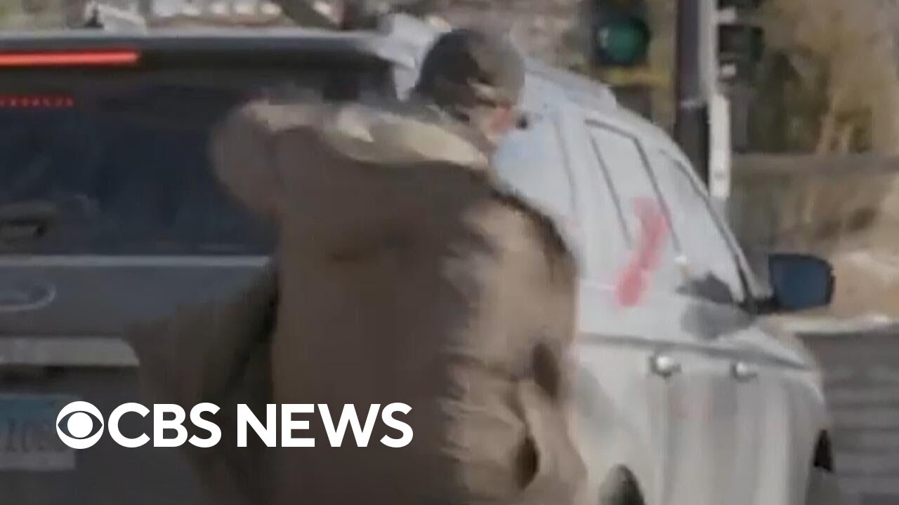 Breaking down video of Alex Pretti altercation 11 days before he died