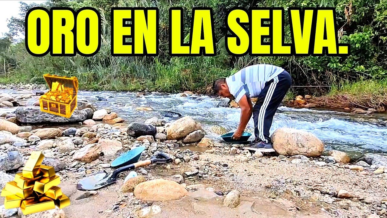 As&iacute; se  busca  ORO en la selva del Ecuador: Aventura real. 